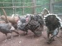 20180819_153113.jpg