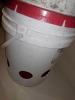 IMG_20180820_002236.jpg