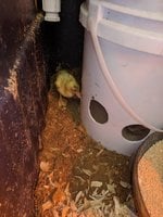 IMG_20180820_013657.jpg