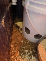 IMG_20180820_013700.jpg