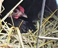 39515209_261684517887768_8391425159243759616_n[1] (2).jpg