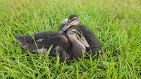 20180817_074448.jpg