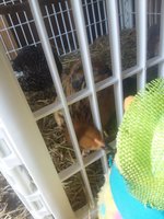 20180821_173939.jpg