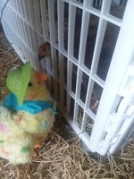 20180821_173707.jpg