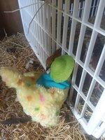 20180821_173731.jpg