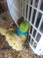 20180821_173726.jpg