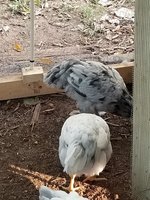 20180821_183726.jpg