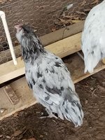 20180821_183530.jpg