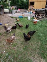 20180705_201104[1].jpg