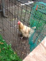 IMG_20180819_083540873.jpg