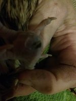 20180821_214530.jpg