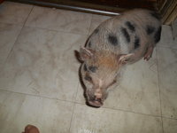 DSCN0275.JPG