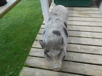 DSCN0276.JPG