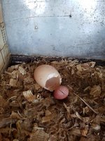 20180822_103419.jpg