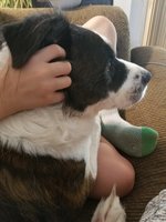 20180822_145500.jpg