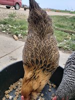20180823_083335.jpg