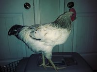 20180823_101411_Film3.jpg