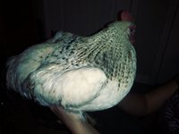 20180823_101357_Film3.jpg