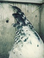 20180823_095156_Film3.jpg