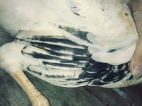 20180823_095151_Film3.jpg