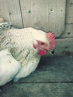 20180823_095135_Film3.jpg
