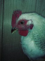 20180823_095049_Film3.jpg