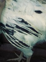 20180823_095033_Film3.jpg