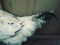 20180823_095023_Film3.jpg