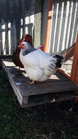 20180824_085307.jpg