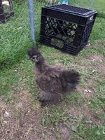20180821_132823.jpg