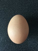 C265D745-E8A8-42F6-A18D-FBEFA264836C.jpeg