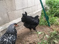 E517471D-9F06-4FBD-98C3-C9B6421BD431.jpeg