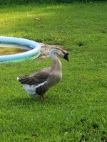 20180824_170518.jpg