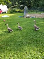 20180824_170052.jpg