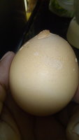 IMG_20180825_165348.jpg
