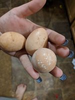 IMG_20180825_202221.jpg