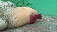 WP_20180826_13_40_30_Pro_LI.jpg