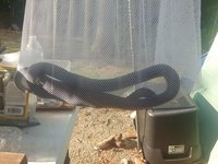 20180826_175709.jpg