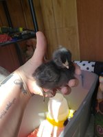 20180826_153455.jpg