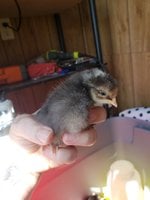 20180826_153505.jpg