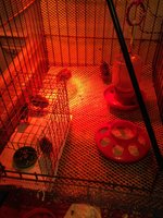IMG_6148.JPG