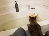 20180429_135038.jpg