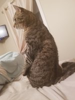 20180825_213236.jpg