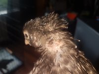 20180826_092413.jpg