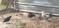 20180827_154233.jpg