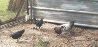 20180827_154238.jpg