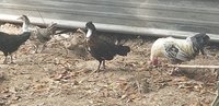 20180827_154211.jpg