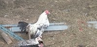 20180827_155854.jpg