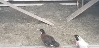 20180827_160145.jpg