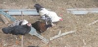 20180827_155912.jpg
